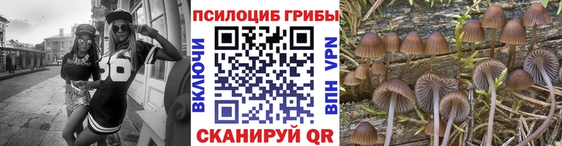 Галлюциногенные грибы Psilocybe Тюкалинск